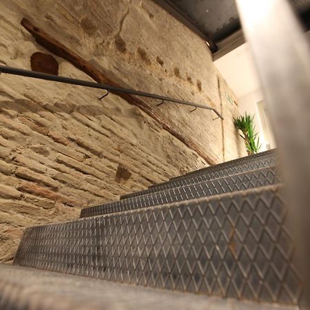 Vtz The Botanic Hostel Zaragoza Eksteriør billede